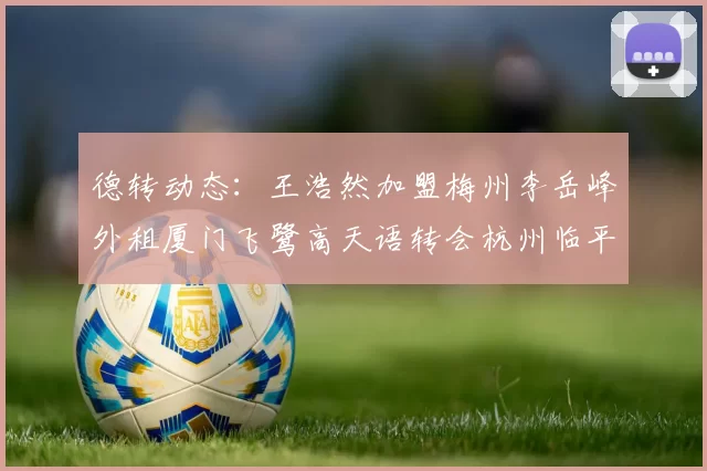 德转动态：王浩然加盟梅州李岳峰外租厦门飞鹭高天语转会杭州临平吴越